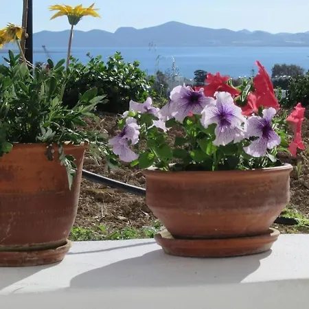 Stone With Amazing View Appartamento *