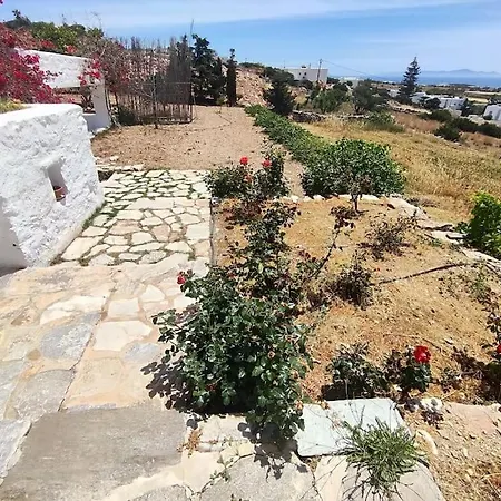 Stone With Amazing View